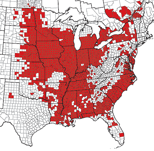 Map - Known distribution of soybean cyst nematode in North America as of 2023 Map - Known distribution of soybean cyst nematode in North America as of 2023