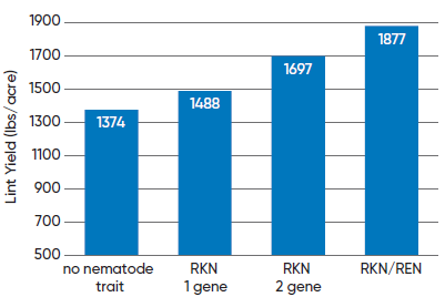 Average cotton yields of varieties with different root-knot and reniform nematode resistance traits