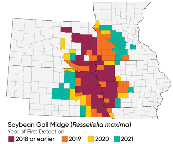 Midwest US map showing counties with documented infestations of soybean gall midge and year of first detection.