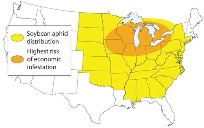 Map - Soybean aphid distribution and area of increased probability of economic infestation.