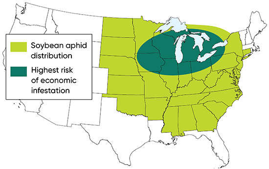 Soybean aphid distribution and area of greatest risk for soybean production in North America