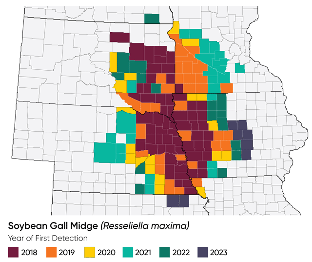 Midwest US map showing counties with documented infestations of soybean gall midge and year of first detection.