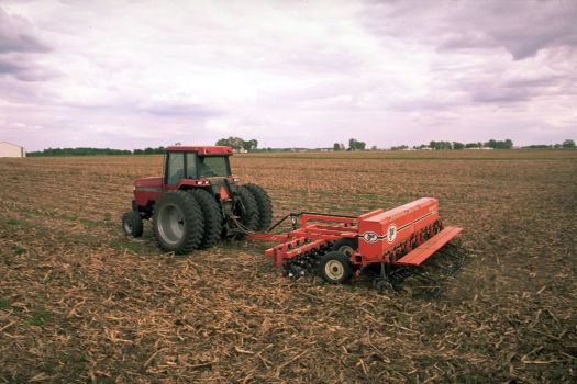 Soybean driling operation