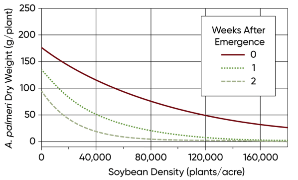Effect of soybean density and Palmer amaranth emergence timing relative to the crop on Palmer amaranth dry weight per plant at harvest.