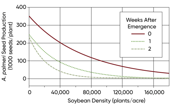 Effect of soybean density and Palmer amaranth emergence timing relative to the crop on Palmer amaranth seed production per plant at harvest.