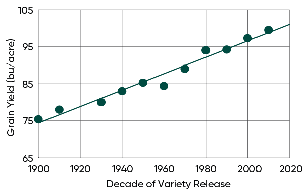 Average grain yield of HRW wheat varieties by decade of variety release - 2025 harvest of 44 varieties at 9 research locations in Kansas