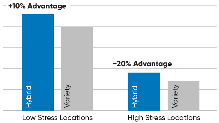 Comparison of hybrid performance versus leading commercial check varieties of HRW wheat in low-stress and high-stress - water-limited - environments