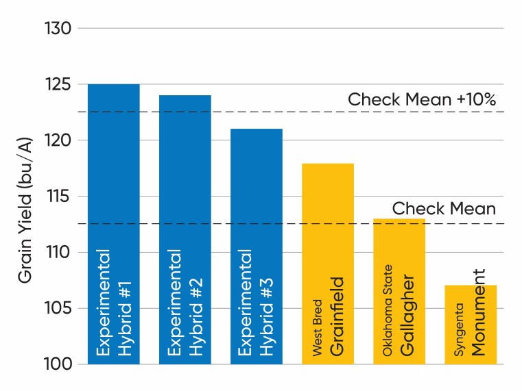 Chart - Yield comparison of experimental hybrid HRW wheat lines and elite commercial varieties planted in 2024 and harvested in 2025 at multiple Kansas research locations