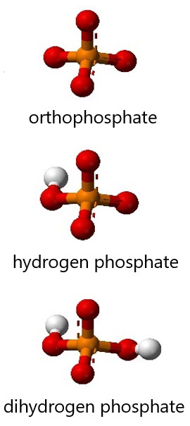 Illustration - hydrogen phosphate, dihydrogen phosphate and orthophosphate molecules.