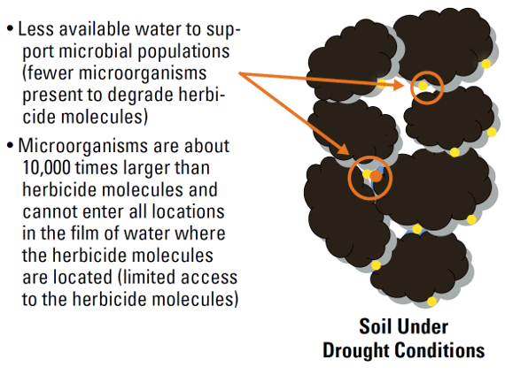 Illustration - Drier Soil Slows Microbial Degradation