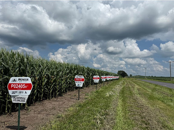 Pioneer Corn PKP plot - Carroll County