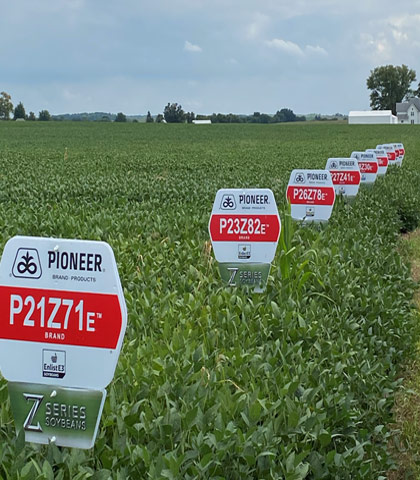 Pioneer Z-Series E3 soybean plot - northern Illinois