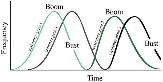 Line Graph - Generalized boom and bust cycle - resistance genes are plant alleles and virulence genes are pathogen alleles.