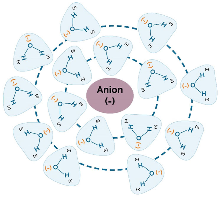 Diagram - anions in water molecule.