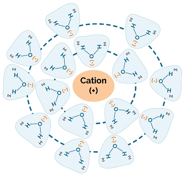 Diagram - cations in water molecule