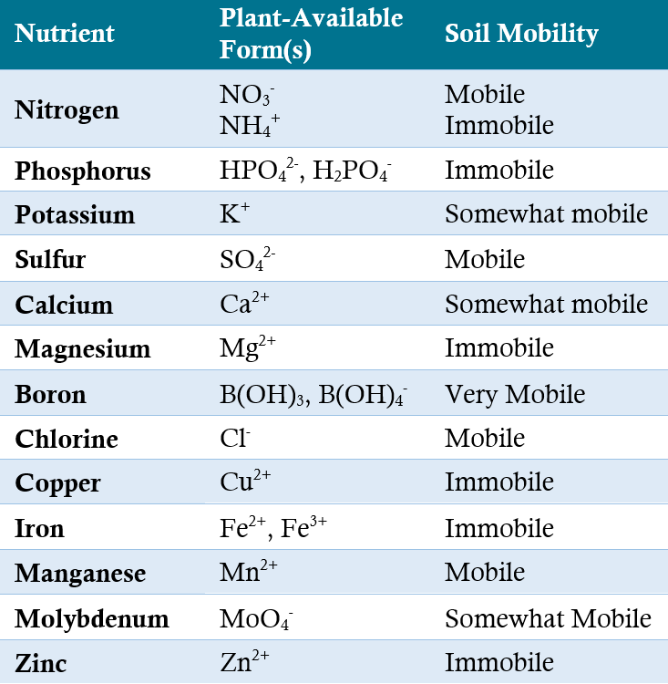 Table - essential nutrients for plant growth