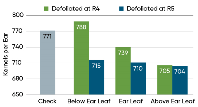 Average kernel count per ear with defoliation at R4 and R5 at the northeast Iowa demonstration location.