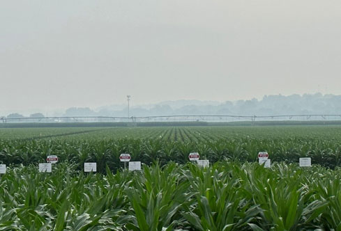 Smoke from Canadian wildfires over the Corteva Agriscience research farm at Johnston Iowa - June 28 - 2023.