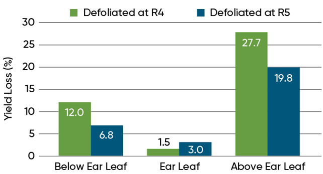 Percent yield loss with defoliation at R4 and R5 at the northeast Iowa demonstration location.