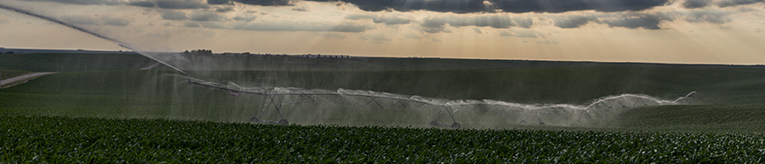 Irrigation operation in cornfield - midseason