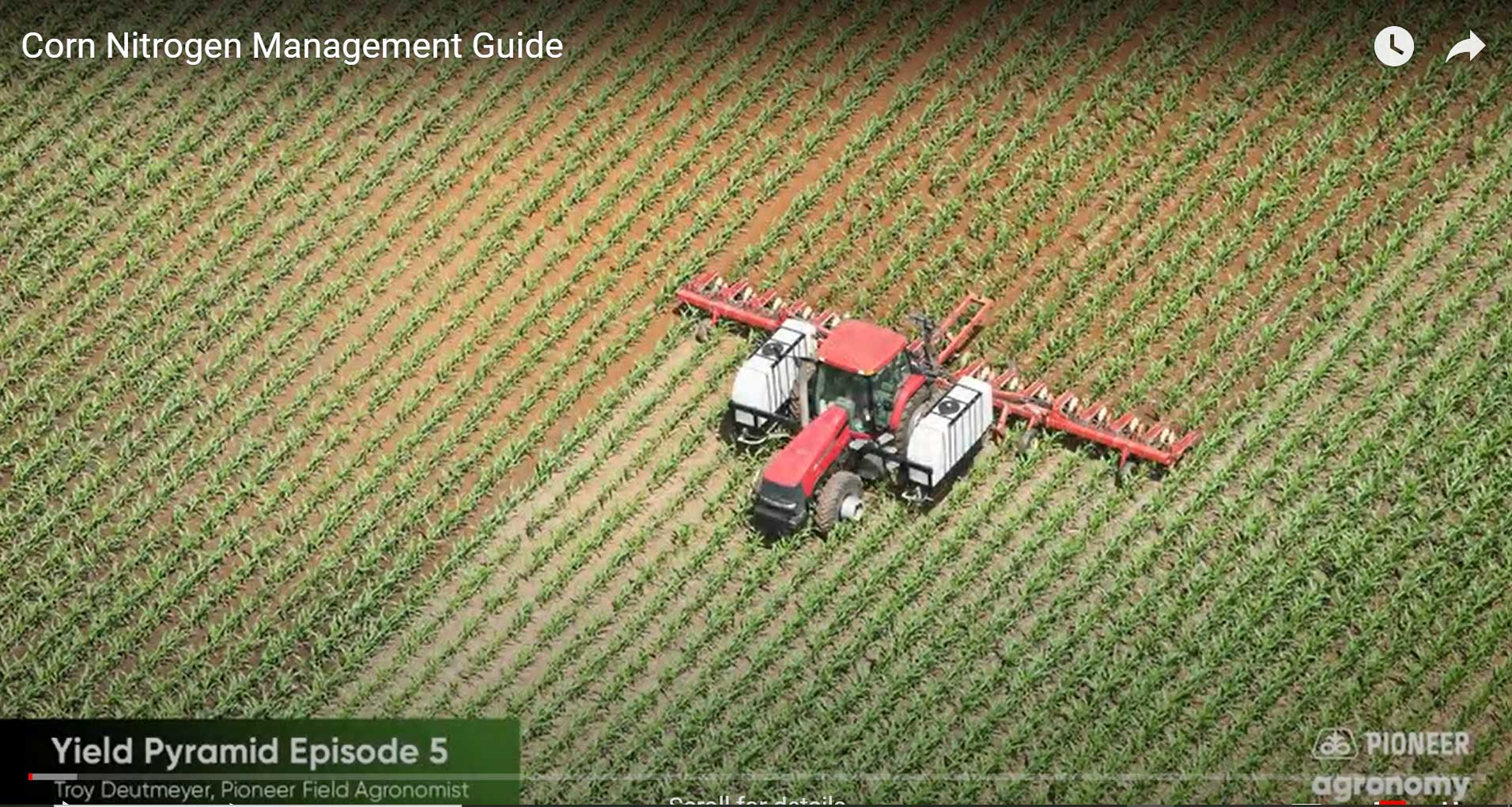 Corn Nitrogen Management Guide