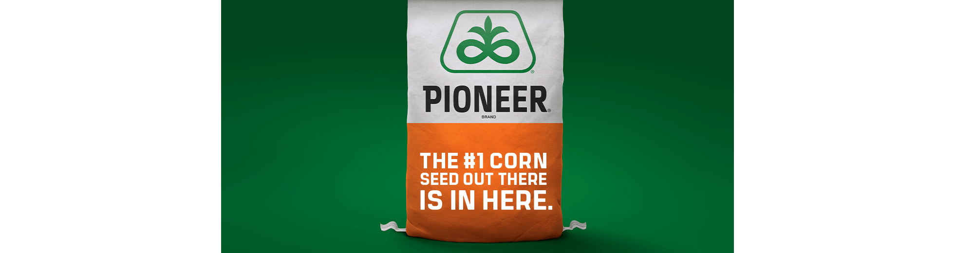 The #1 Corn Seed. Bagged.
