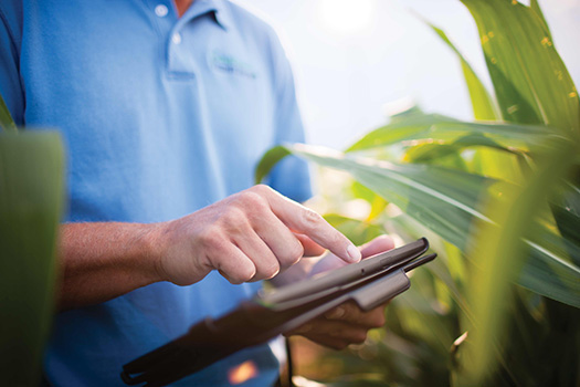 More agronomic resources