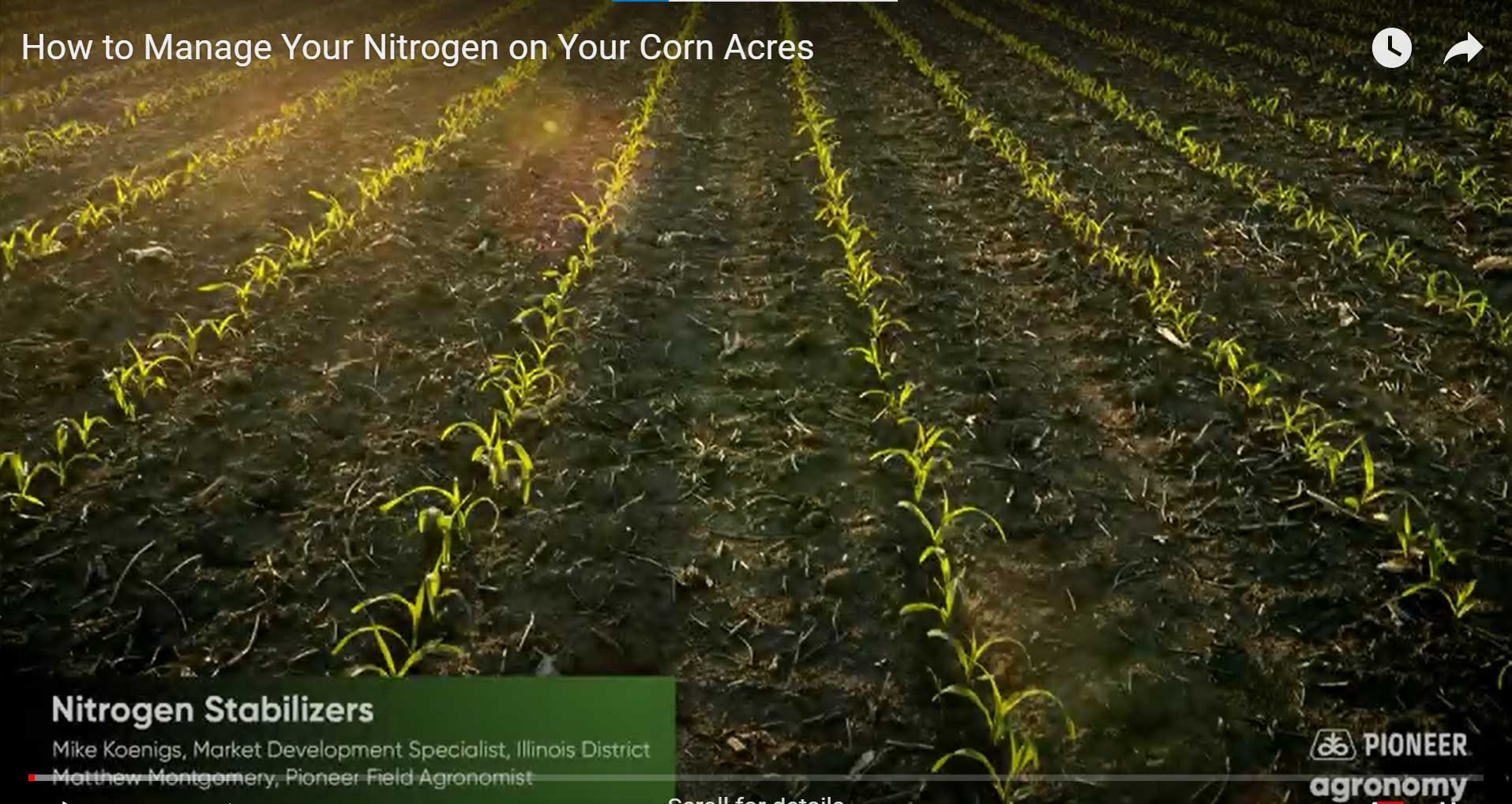 How to Manage Your Nitrogen on Your Corn Acres