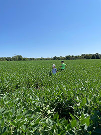 Photo - soybean field - people in distance