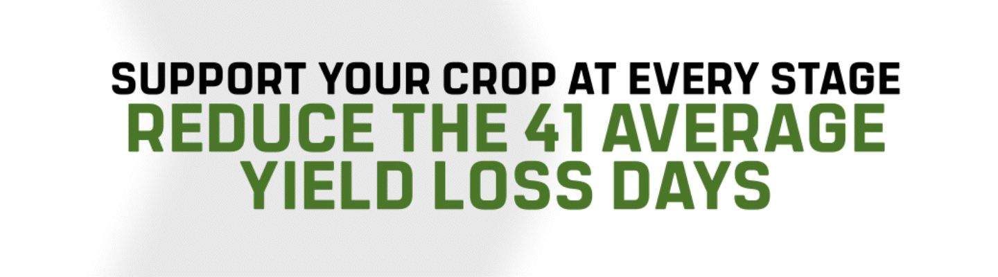 NEXTA biologicals - stress less - yield more NEXTA biologicals - stress less - yield more