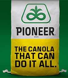 The canola that can do it all.