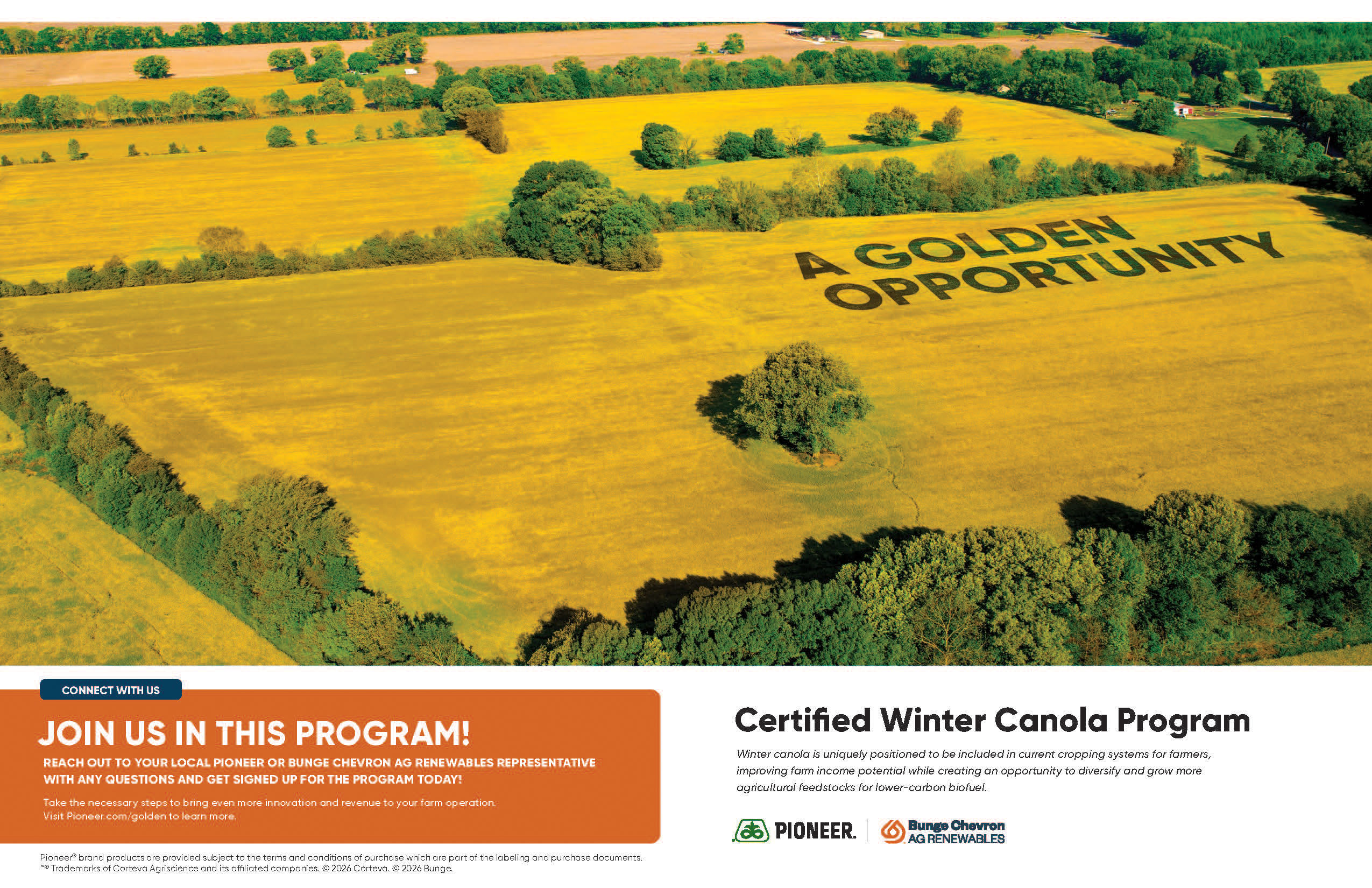 Certified Winter Canola Program - Pioneer - Bunge Chevron Ag Renewables