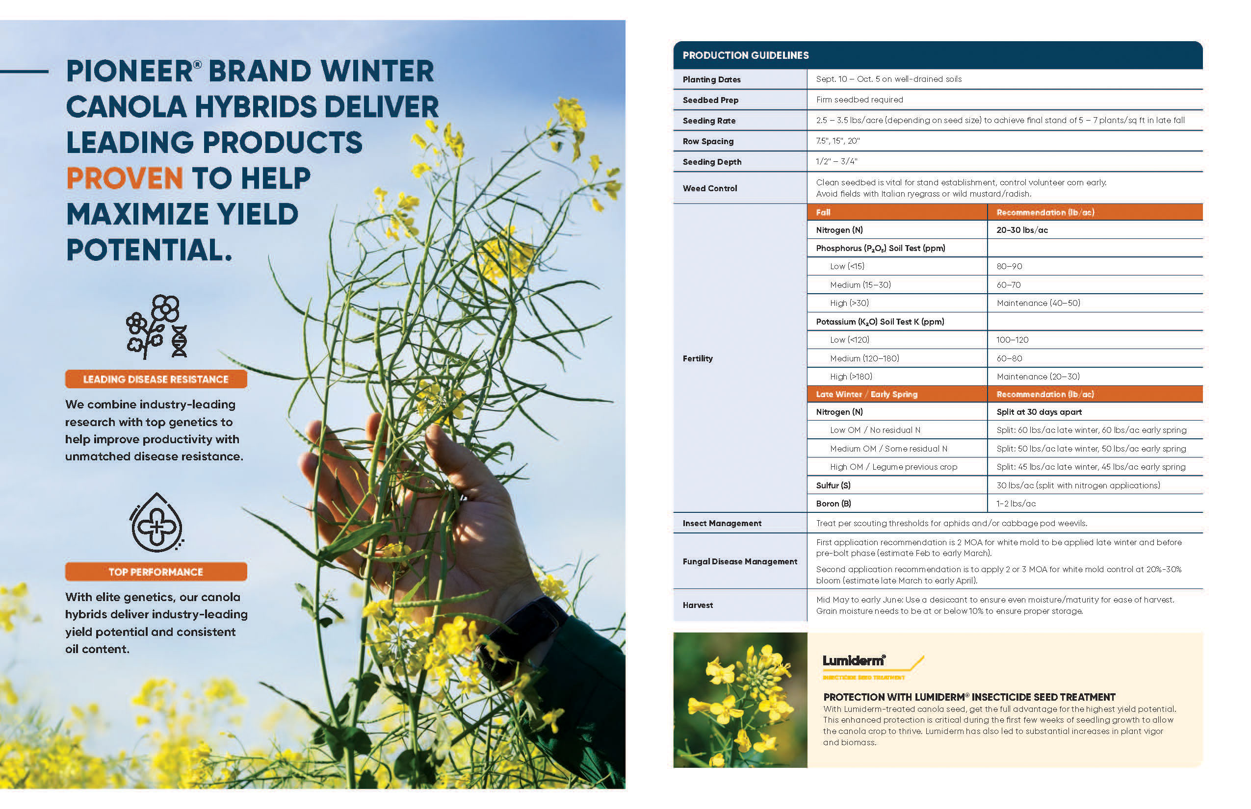 Certified Winter Canola Program - Pioneer - Bunge Chevron Ag Renewables