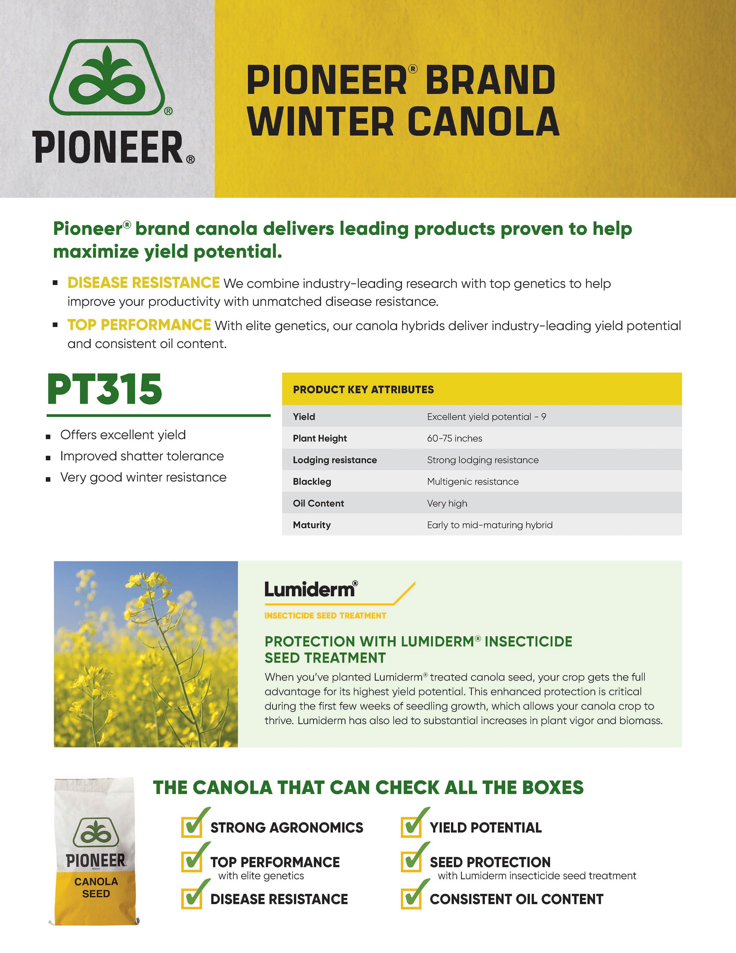 Pioneer brand winter canola products - PT315