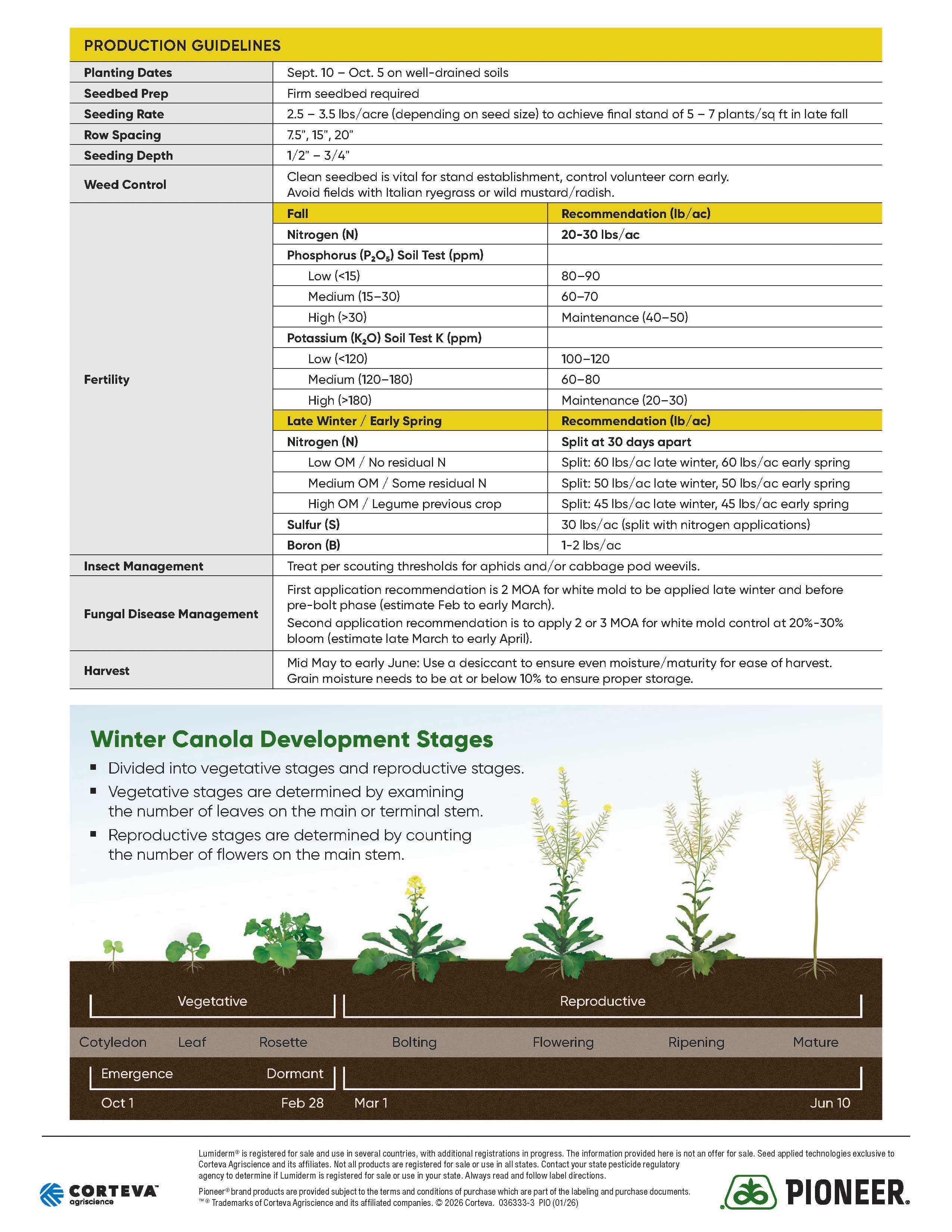 Pioneer brand winter canola products