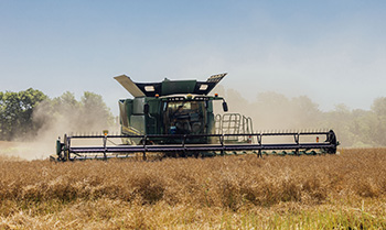 Explore winter canola products