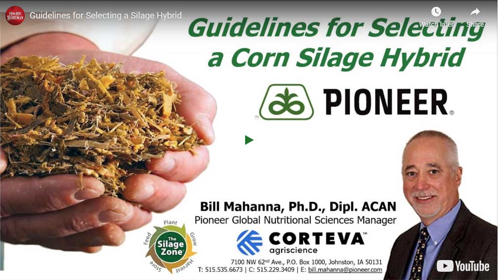 Guidelines for Selecting a Silage Hybrid