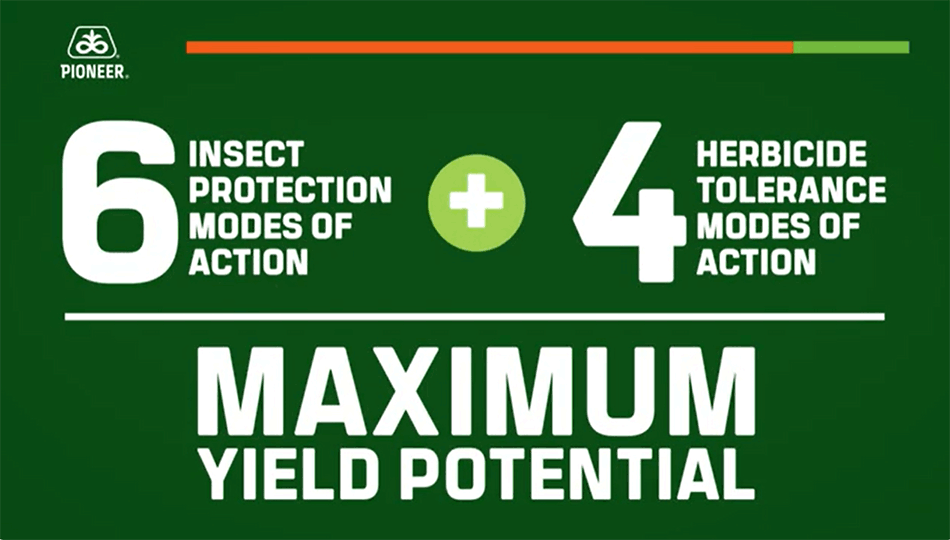 Insect protection - herbicide tolerance modes of action - Vorceed