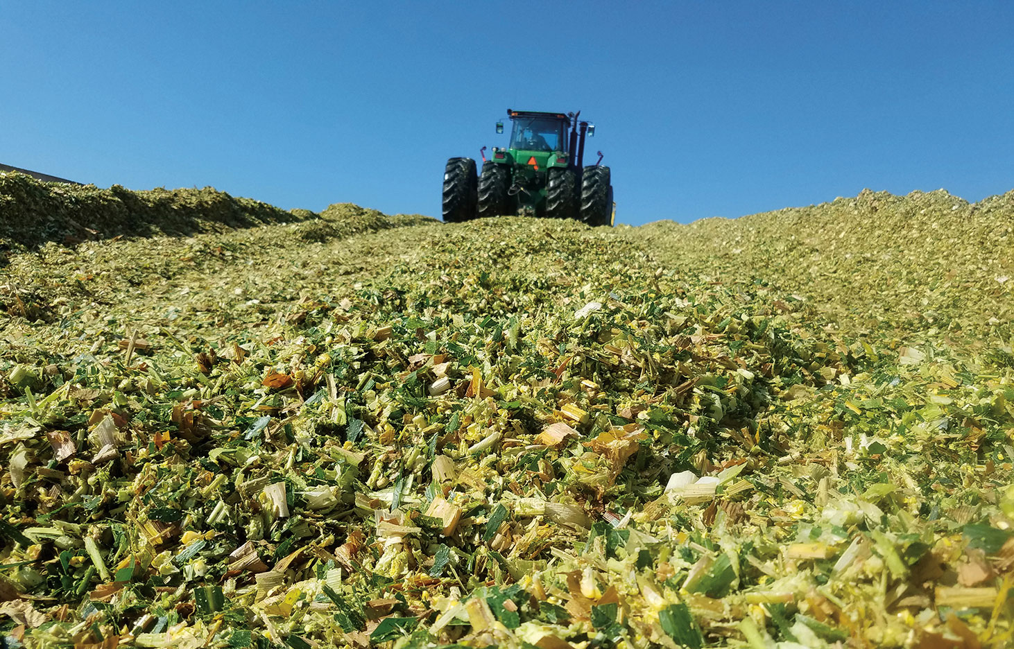 Photo - forage - storing