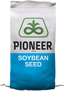 Soybean seed bag