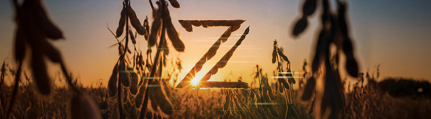 Z-Series soybeans - harvest season Z-Series soybeans - harvest season