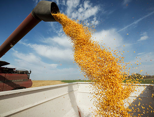 Granular Insights - Corn Yield Estimator