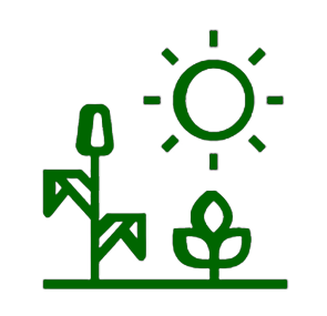 Weather and climate implications at harvest