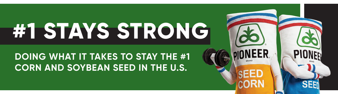 One Stays Strong One Stays Strong