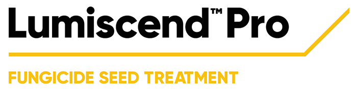 Lumiscend Pro fungicide seed treatment