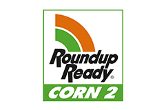 Enlist corn - multiple herbicide tolerance