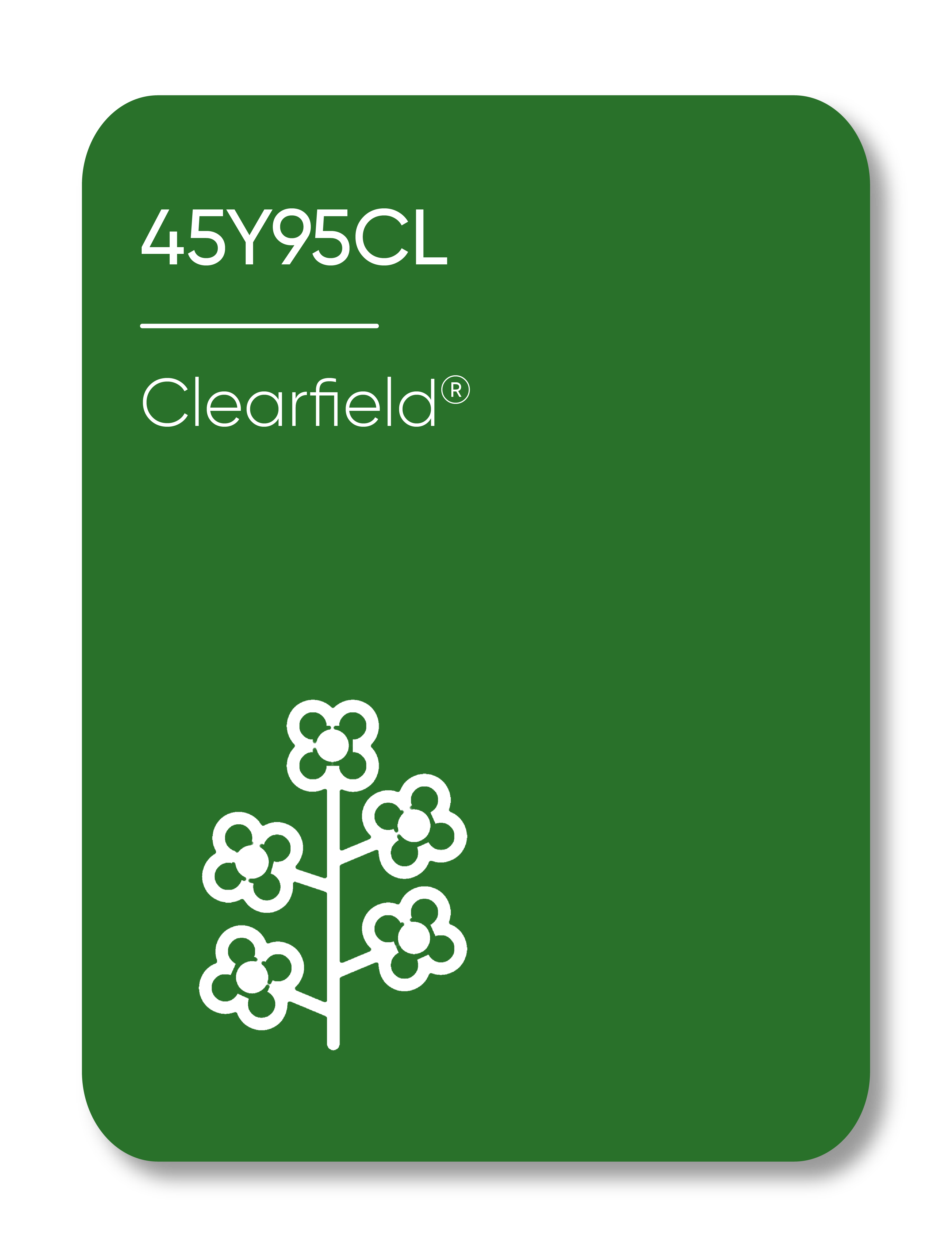 Example Image