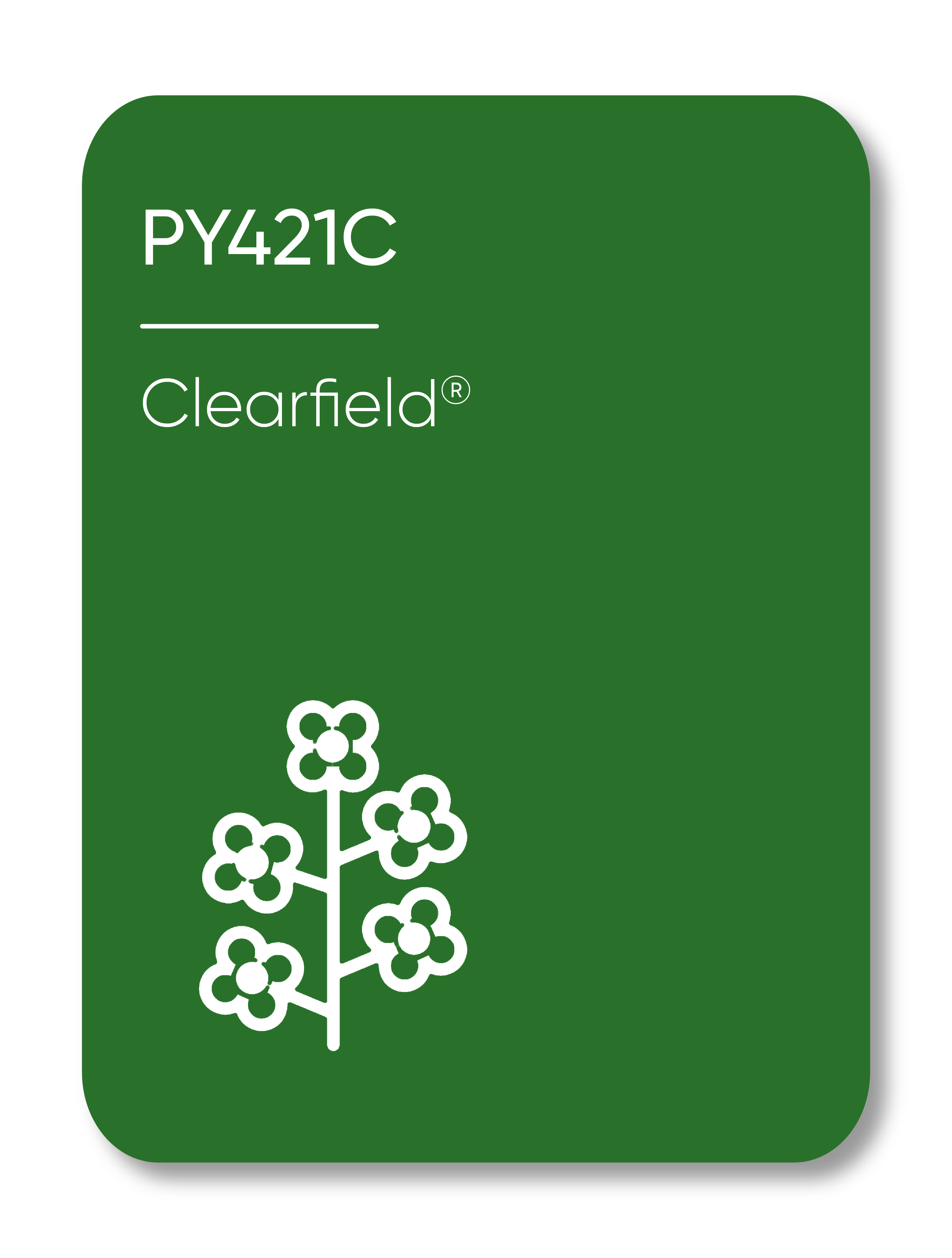 Example Image