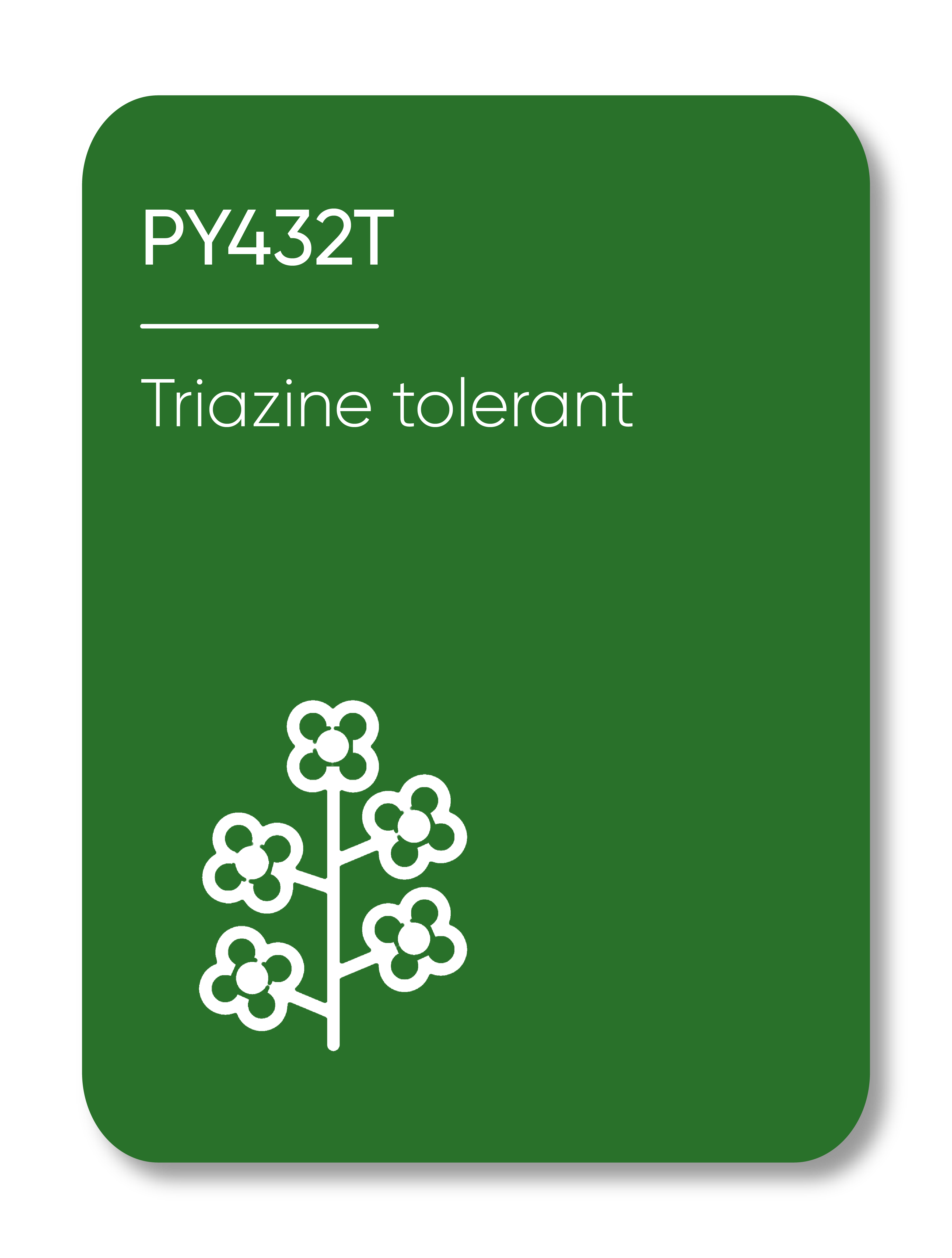 Example Image