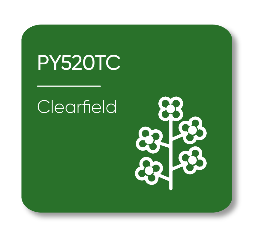 Description of Image 1